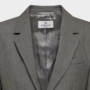 Aritzia Babaton Arbus Blazer